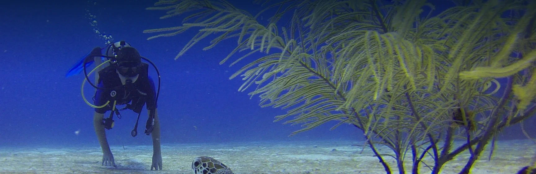 PADI Bubblemaker Program