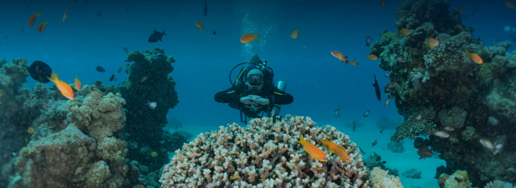 PADI Emergency First Response Course