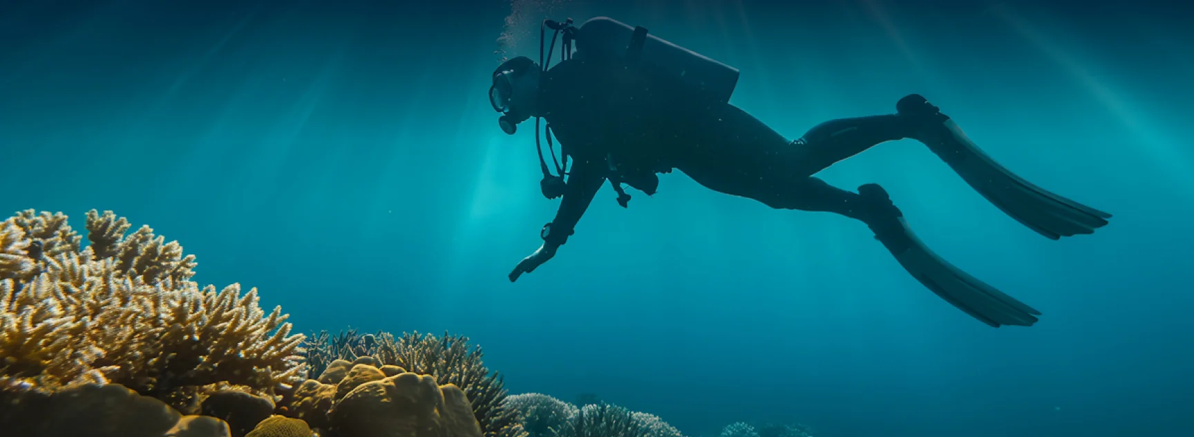 PADI Rescue Diver Course