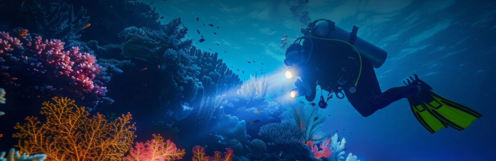 PADI Scuba Diver Course