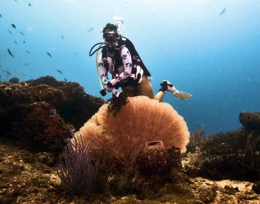 UNA Home Reef