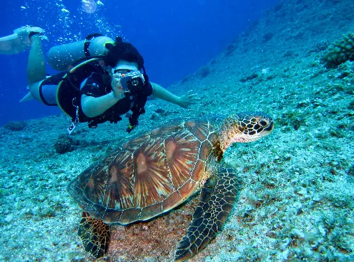 PADI Drift Diver Course