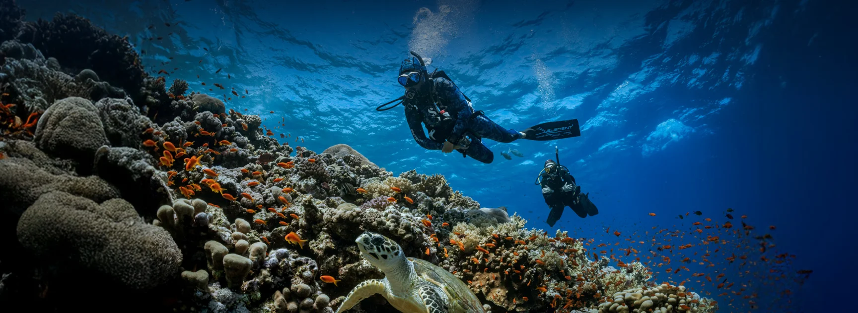 Discover scuba diving