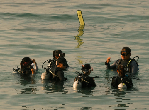 Go Pro and Beyond