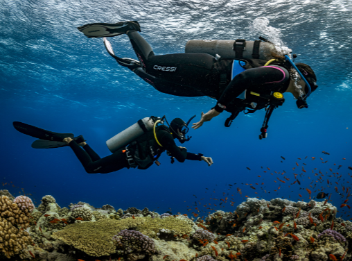 PADI Openwater Diver Course
