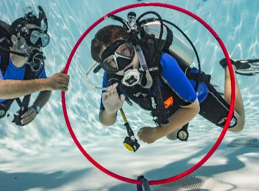 PADI Seal Team Course