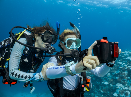 Fun Dives