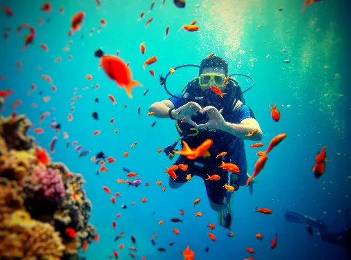 PADI Digital Underwater Photographer Course